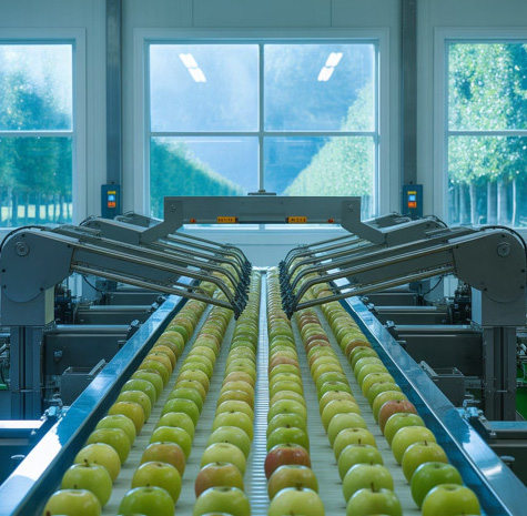industri alimentare